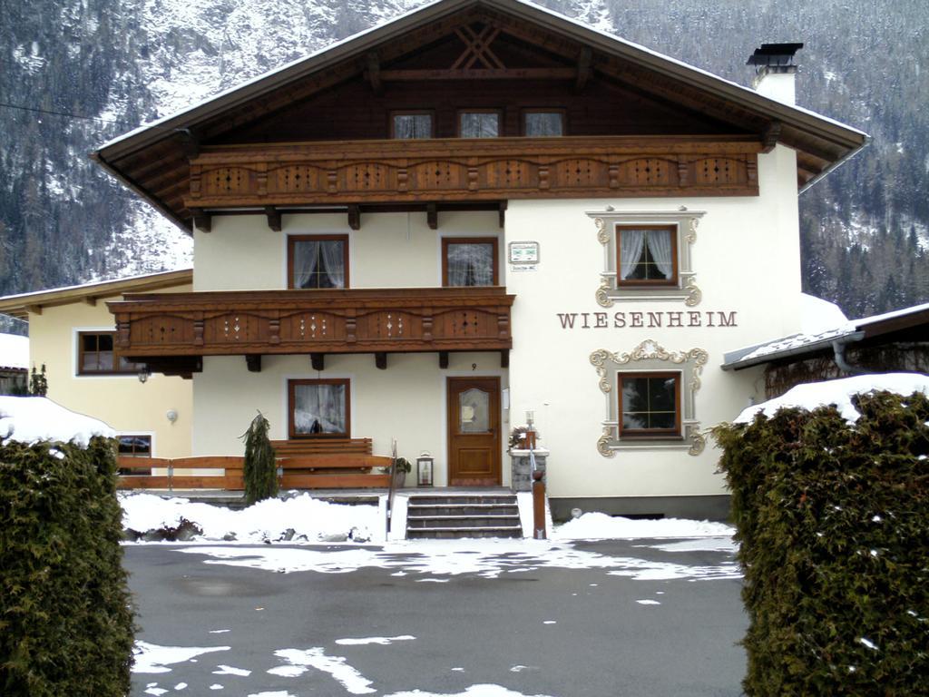 Haus Wiesenheim Fw Oetztal Лангенфельд Экстерьер фото